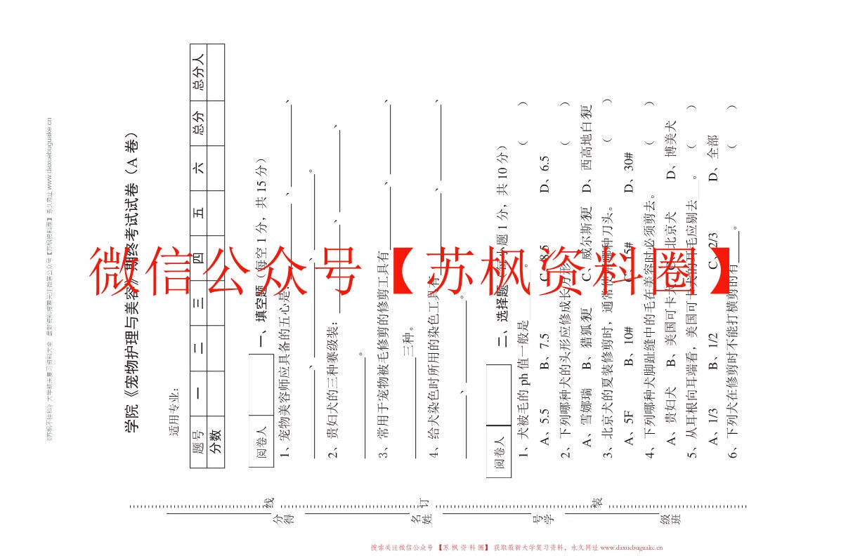 宠物美容